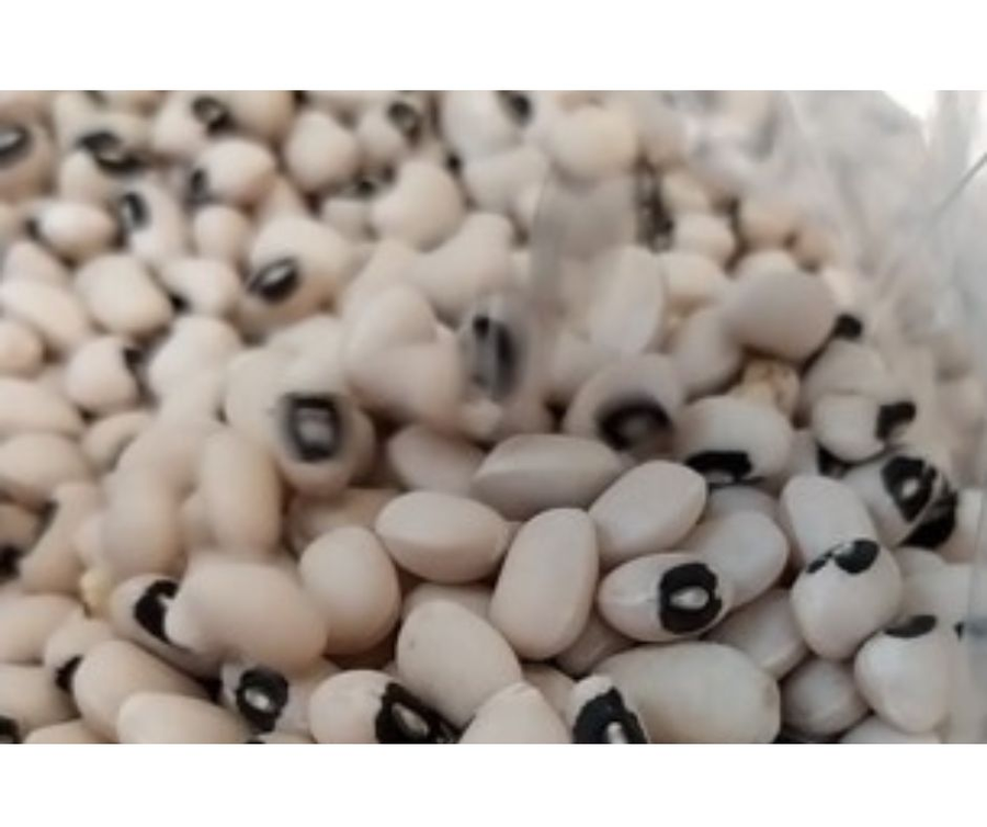 רוצים לשלב יותר קטניות בתזונה אבל חוששים מהגזים והבלאגן באחסון? גלו איך רכישה בתפזורת היא הפתרון המושלם: קונים בדיוק את הכמות הנכונה, נהנים מטריות שמקלה על העיכול, ומתנסים במגוון סוגים בלי להתחייב. הדרך הקלה והנוחה ליהנות מכל הטוב של הקטניות.